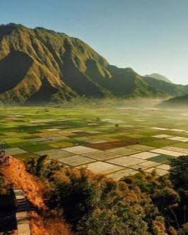 4D3N | LOMBOK CULTURAL & ESCAPE BEACH (SASAK, GILI TRAWANGAN & SEMBALUN VILLAGE) | Avventura Indonesia