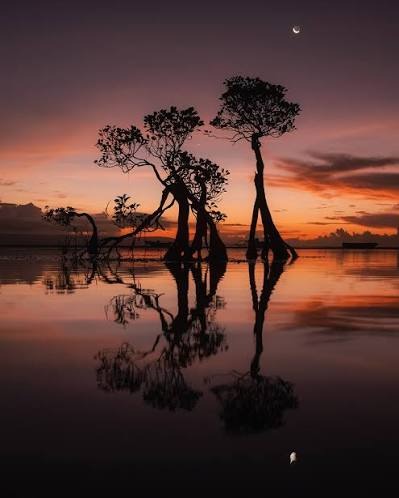5D4N | PRIVATE SUMBA | Avventura Indonesia